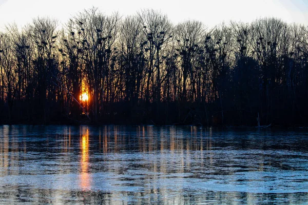 Парк Ривери Вью Штате Висконсин Зимой — стоковое фото