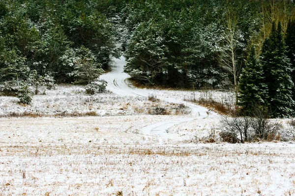 Извилистая Лесозаготовка Зимой Висконсине — стоковое фото