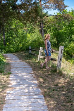Tahta geçidin yanındaki bayan Two Rivers, Wisconsin 'deki Point Beach State Ormanı' na bakıyor.