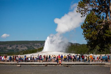 Yellowstone, Wyoming, USA, August 19, 2019, tourists gather around to watch Old Faithful Giser erupt, horizontal clipart