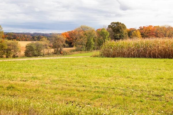 Obszary Rolne Środkowego Wisconsin Jesienią Poziome — Zdjęcie stockowe