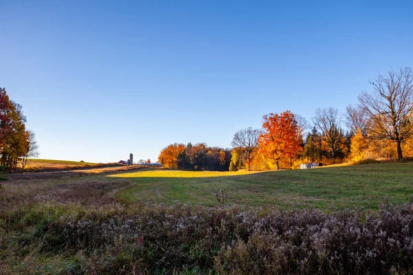 Zemědělská Půda Střední Wisconsin Říjnu Barevnými Stromy Horizontální — Stock fotografie