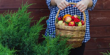 Kızın elleri sepetin içinde duran nektarin, portakal, çilek, kiraz ve nane yapraklarını tutuyor. tahta arkaplan
