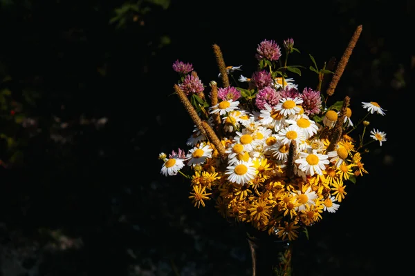 Gänseblümchen Klee Gelbe Blumen Grasgras Einem Blumenstrauß Auf Schwarzem Hintergrund — Stockfoto