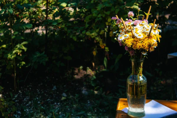 Gänseblümchen Klee Gelbe Blumen Gras Sedge Einem Blumenstrauß Stehen Einer — Stockfoto