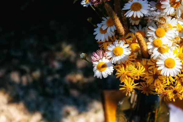 Gänseblümchen Klee Gelbe Blumen Grasgras Einem Blumenstrauß Auf Schwarzem Hintergrund — Stockfoto