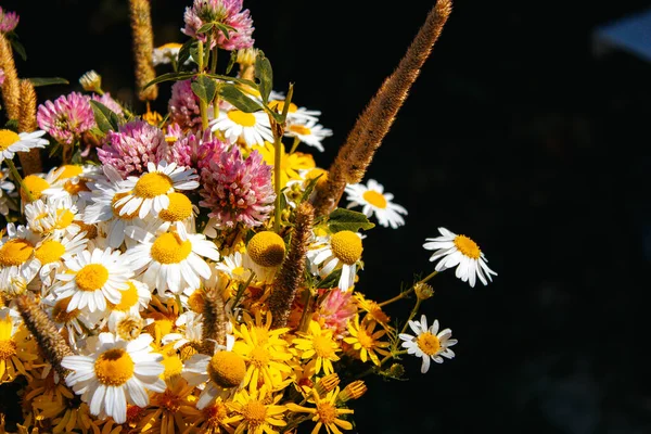 Gänseblümchen Klee Gelbe Blumen Grasgras Einem Blumenstrauß Auf Schwarzem Hintergrund — Stockfoto