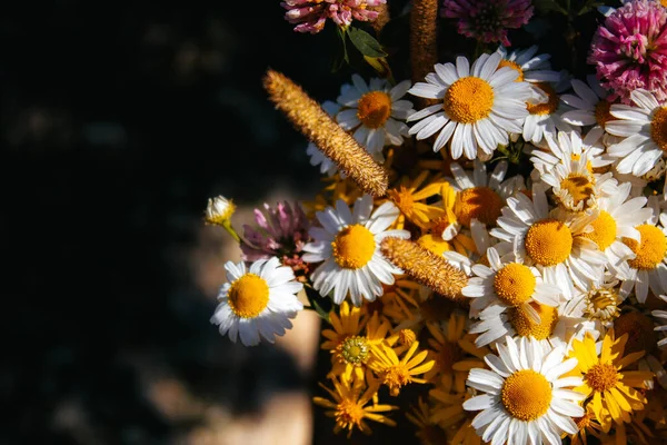 Gänseblümchen Klee Gelbe Blumen Grasgras Einem Blumenstrauß Auf Schwarzem Hintergrund — Stockfoto