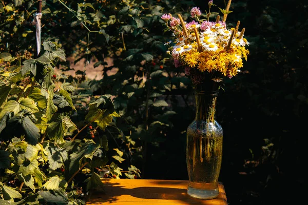 Gänseblümchen Klee Gelbe Blumen Gras Sedge Einem Blumenstrauß Stehen Einer — Stockfoto