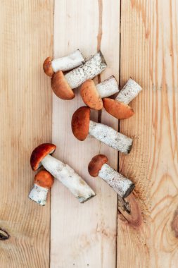 Birçok farklı yenilebilir mantar, tahtadan bir tahta üzerinde kahverengi renkli, toplanmış mantarlar üzerinde yatar. Yukarıdan görünüm