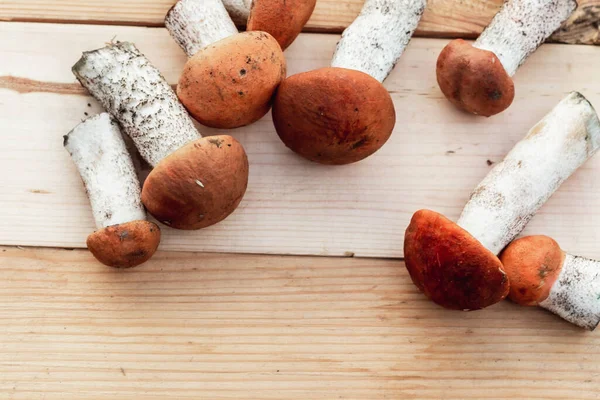 Viele Verschiedene Essbare Pilze Liegen Auf Einem Holzbrett Von Brauner — Stockfoto