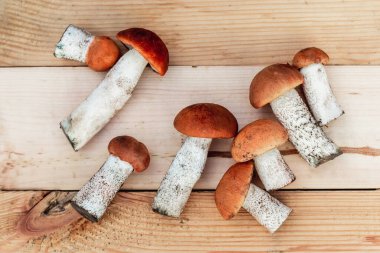 Birçok farklı yenilebilir mantar, tahtadan bir tahta üzerinde kahverengi renkli, toplanmış mantarlar üzerinde yatar. Yukarıdan görünüm