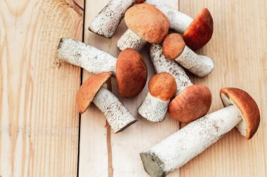 Birçok farklı yenilebilir mantar, tahtadan bir tahta üzerinde kahverengi renkli, toplanmış mantarlar üzerinde yatar. Yukarıdan görünüm