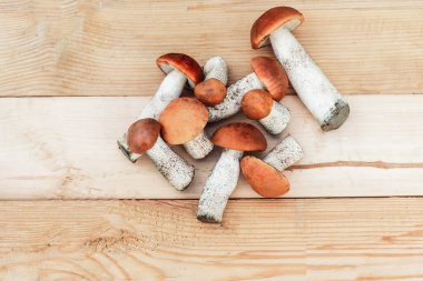 Birçok farklı yenilebilir mantar, tahtadan bir tahta üzerinde kahverengi renkli, toplanmış mantarlar üzerinde yatar. Yukarıdan görünüm