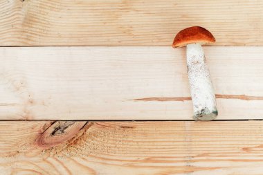 Bir yenilebilir mantar, tahtadan bir tahta üzerinde kahverengi renkli, toplanmış mantarlar üzerinde yatar. Yukarıdan görünüm