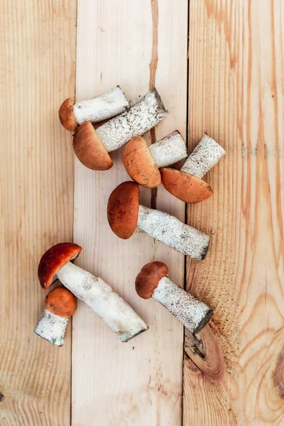 Tahta tahtada bir sürü yenilebilir mantar var. Yukarıdan görünüm