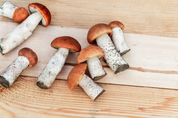 Birçok farklı yenilebilir mantar, tahtadan bir tahta üzerinde kahverengi renkli, toplanmış mantarlar üzerinde yatar. Yukarıdan görünüm