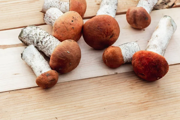 Birçok farklı yenilebilir mantar, tahtadan bir tahta üzerinde kahverengi renkli, toplanmış mantarlar üzerinde yatar. Yukarıdan görünüm