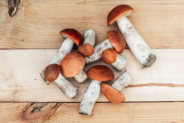 Birçok farklı yenilebilir mantar, tahtadan bir tahta üzerinde kahverengi renkli, toplanmış mantarlar üzerinde yatar. Yukarıdan görünüm
