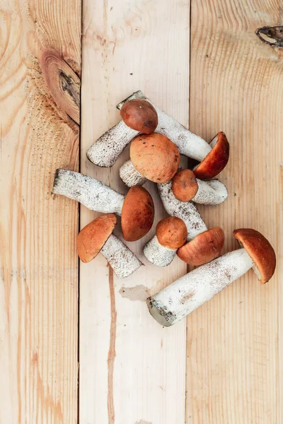 Viele Verschiedene Essbare Pilze Liegen Auf Einem Holzbrett Von Brauner — Stockfoto