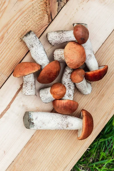 Birçok farklı yenilebilir mantar, tahtadan bir tahta üzerinde kahverengi renkli, toplanmış mantarlar üzerinde yatar. Yukarıdan görünüm