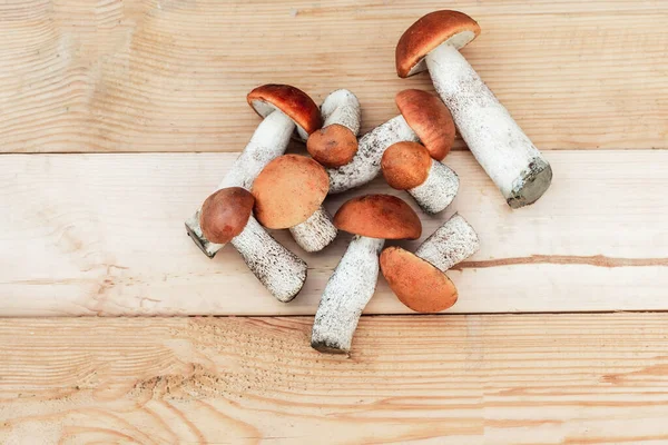 Birçok farklı yenilebilir mantar, tahtadan bir tahta üzerinde kahverengi renkli, toplanmış mantarlar üzerinde yatar. Yukarıdan görünüm