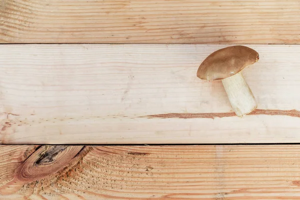 Cogumelo Comestível Está Uma Tábua Madeira Cor Marrom Cogumelos Coletados — Fotografia de Stock