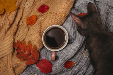 Sonbahar, kuru kırmızı sonbahar yaprakları sıcak bir espresso bardağının etrafına katlanmış kazakların üzerinde uzanır.