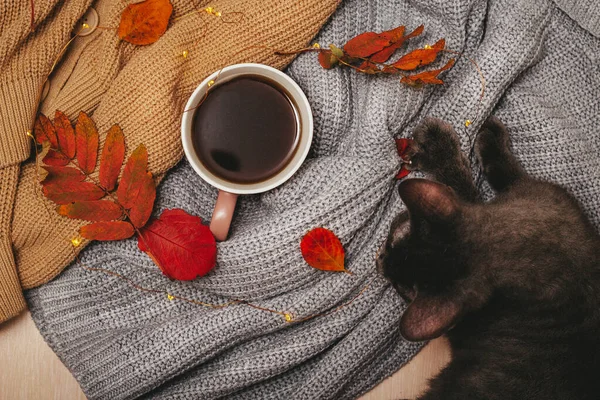 Table Two Cozy Sweaters Rolled Hot Cup Coffee Autumn Red — Stock Photo, Image