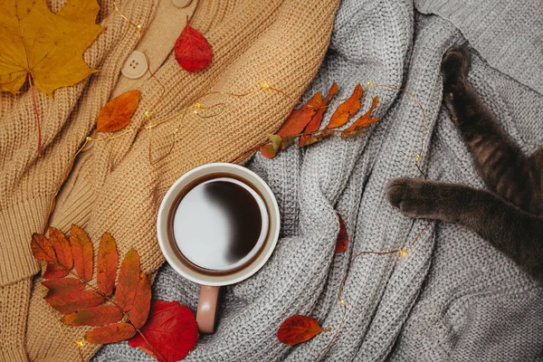 Table Two Cozy Sweaters Rolled Hot Cup Coffee Autumn Red — Stock Photo, Image