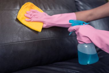 Kadın kanepeyi böcek öldürücü spreyle silip havluyla siliyor..