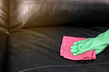 Kadın kanepeyi böcek öldürücü spreyle silip havluyla siliyor..