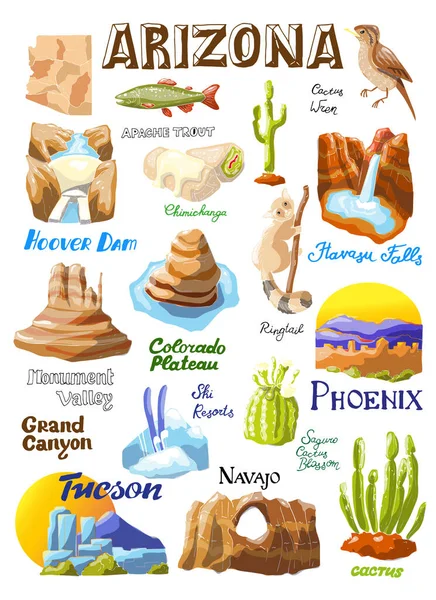 Vektorillustration Mit Arizonas Landschaften Und Staatssymbolen — Stockvektor