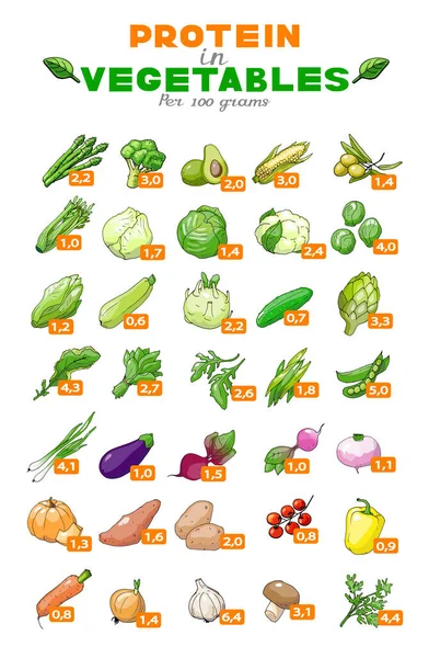 Sebzelerde protein içeriğinin vektör illüstrasyon grafiği