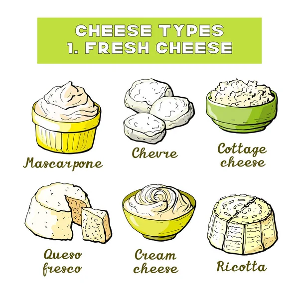 Ilustración Vectorial Tipos Tipos Queso — Archivo Imágenes Vectoriales