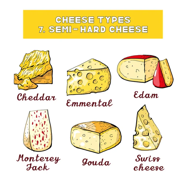 Ilustración Vectorial Tipos Tipos Queso — Archivo Imágenes Vectoriales