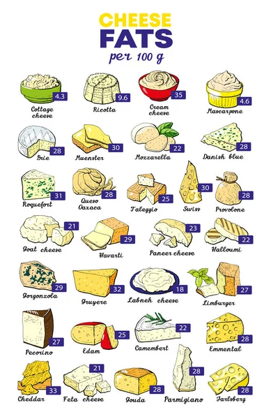 Nutrientes Ilustración Vectorial Por 100 Gramos Queso Tabla Suplemento Dietético — Vector de stock