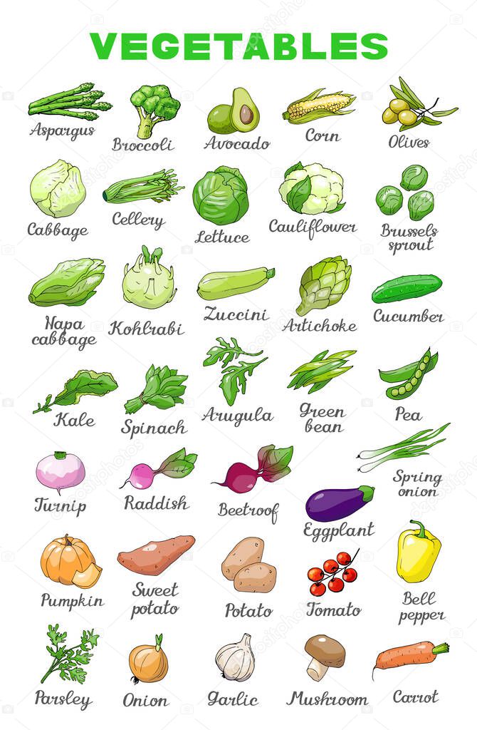 Vector illustration of vegetables in English for school education