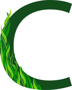 yeşil harf şifalı bitkiler alfabesi