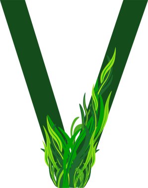 yeşil harf şifalı bitkiler alfabesi