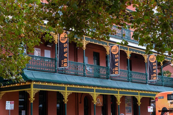 Northbridge, Batı Avustralya 'daki pirinç maymun barı.