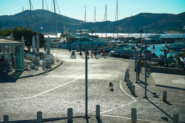 Der Hauptmarkt Der Insel Paros — Stockfoto