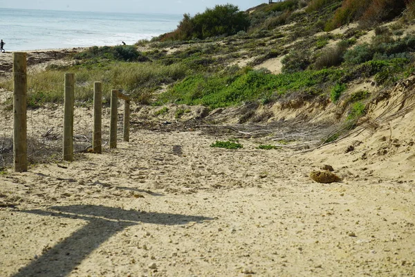 Mandurah plajı kum, binalar, deniz ve Batı Avustralya 'daki insanlardan oluşuyordu.