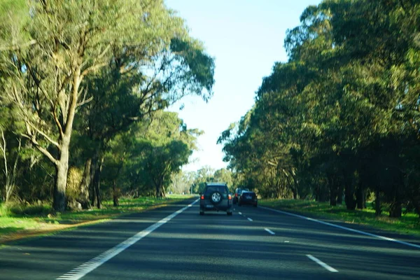Автомобілі Їдуть Довгою Дорогою Всій Західній Австралії — стокове фото