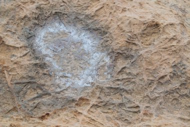 Deniz yüzeyinde bir kaya. Su, Güneş ve erozyon Soyut yapı oluşturdu. Tuzlu noktalar. Gozo, Malta