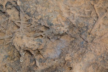 Deniz yüzeyinde bir kaya. Su, Güneş ve erozyon Soyut yapı oluşturdu. Tuzlu noktalar. Gozo, Malta