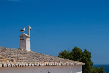 Bir binanın eski çini ve baca çatı. Baca üzerinde martı. Büyük ağaç, ufuk Atlantik Okyanusu ve arka plan mavi bir gökyüzü. Porches, Algarve, Portekiz.