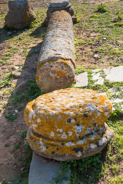 Ruines Nécropole Chellah Rabat Colonne Pierre Cassée Herbe Dans Coin — Photo