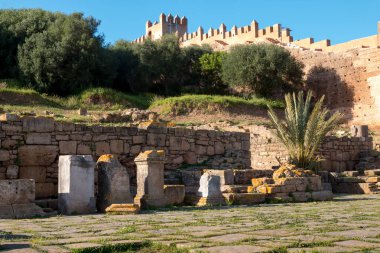 Nekropol Chellah, Rabat, Fas çeşitli kalıntıları. Palmiye ağacı ve zeytin ağaçları. Yeni sur duvarının içinde belgili tanımlık geçmiş. Parlak mavi gökyüzü.