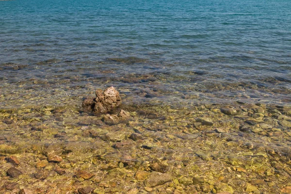 在亚得里亚海底部的石头 由绿色海藻覆盖 一个更大的石头在水位之上 水非常干净和清澈 蓝色的距离 克尔克岛 克罗地亚 — 图库照片